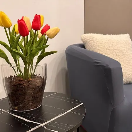 Apartamento 2 Which Is Luxurious Yet Affordable ! *